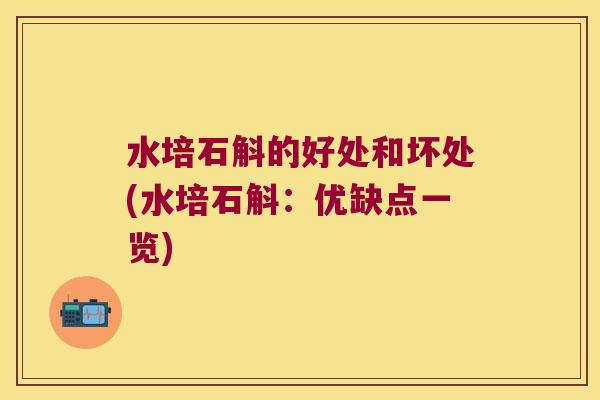 水培石斛的好处和坏处(水培石斛：优缺点一览)