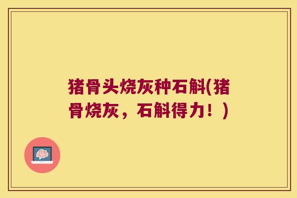 猪骨头烧灰种石斛(猪骨烧灰，石斛得力！)