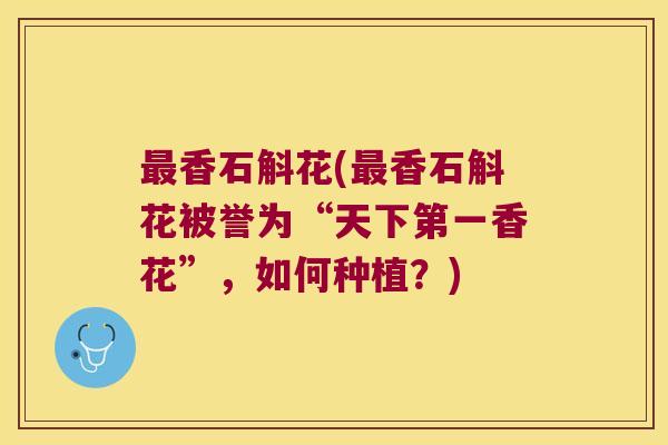 最香石斛花(最香石斛花被誉为“天下第一香花”，如何种植？)