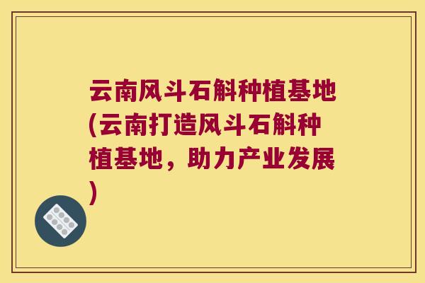云南风斗石斛种植基地(云南打造风斗石斛种植基地，助力产业发展)