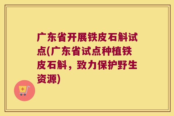 广东省开展铁皮石斛试点(广东省试点种植铁皮石斛，致力保护野生资源)