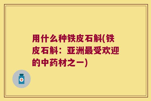 用什么种铁皮石斛(铁皮石斛：亚洲受欢迎的材之一)