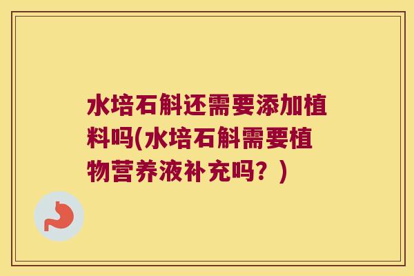 水培石斛还需要添加植料吗(水培石斛需要植物营养液补充吗？)