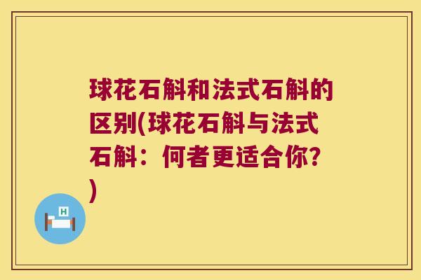 球花石斛和法式石斛的区别(球花石斛与法式石斛：何者更适合你？)