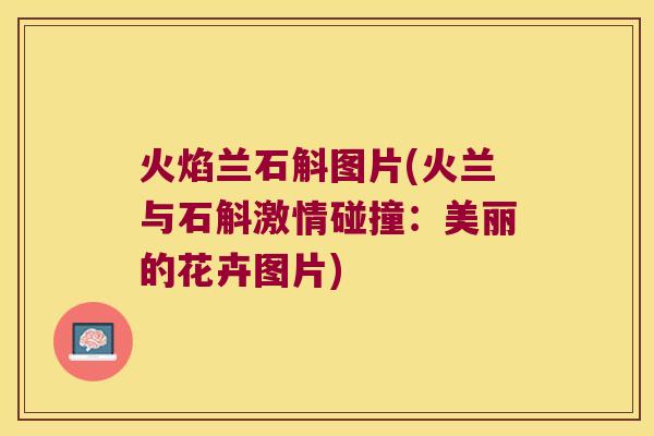 火焰兰石斛图片(火兰与石斛激情碰撞：美丽的花卉图片)
