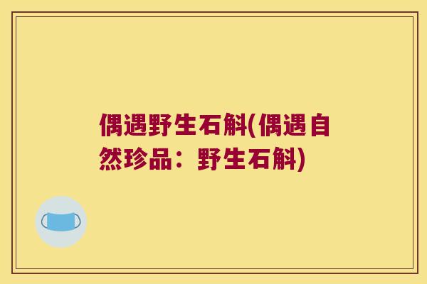 偶遇野生石斛(偶遇自然珍品：野生石斛)