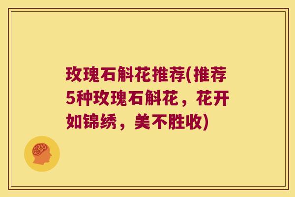 玫瑰石斛花推荐(推荐5种玫瑰石斛花，花开如锦绣，美不胜收)