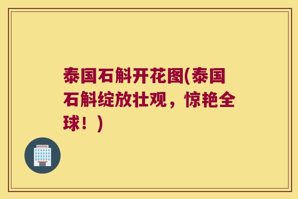 泰国石斛开花图(泰国石斛绽放壮观，惊艳全球！)