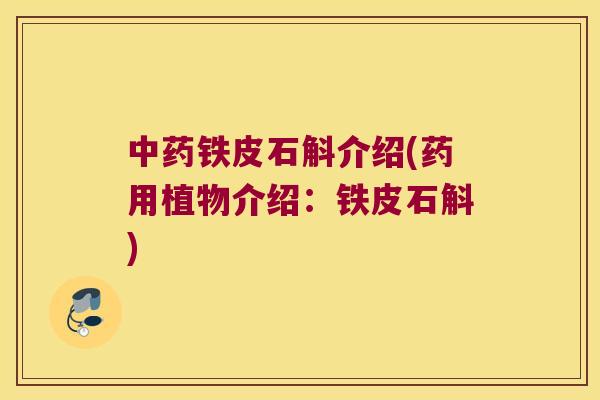 铁皮石斛介绍(药用植物介绍：铁皮石斛)