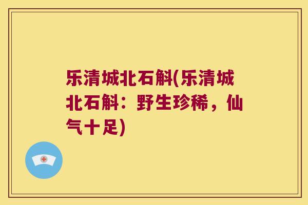 乐清城北石斛(乐清城北石斛：野生珍稀，仙气十足)