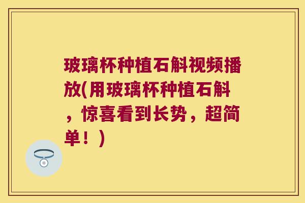 玻璃杯种植石斛视频播放(用玻璃杯种植石斛，惊喜看到长势，超简单！)