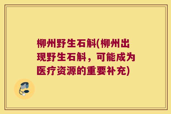 柳州野生石斛(柳州出现野生石斛，可能成为医疗资源的重要补充)