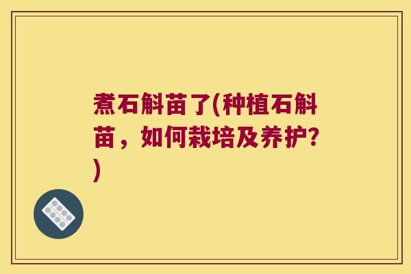 煮石斛苗了(种植石斛苗，如何栽培及养护？)