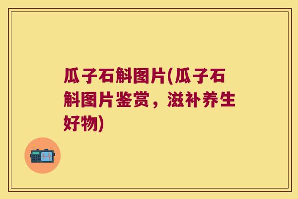 瓜子石斛图片(瓜子石斛图片鉴赏，滋补养生好物)