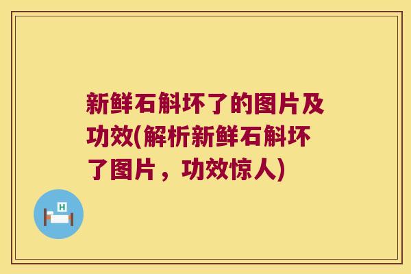 新鲜石斛坏了的图片及功效(解析新鲜石斛坏了图片，功效惊人)