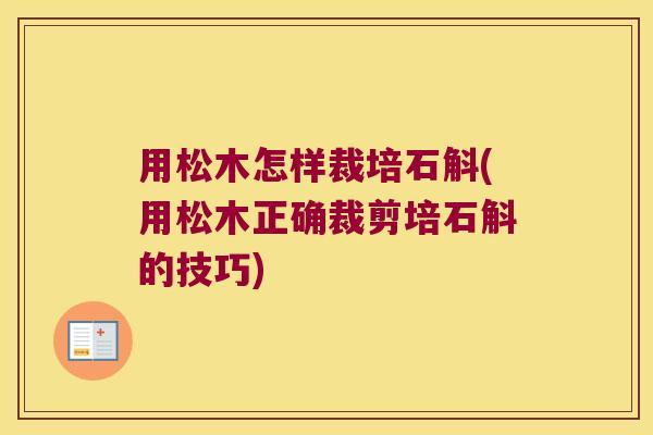 用松木怎样裁培石斛(用松木正确裁剪培石斛的技巧)
