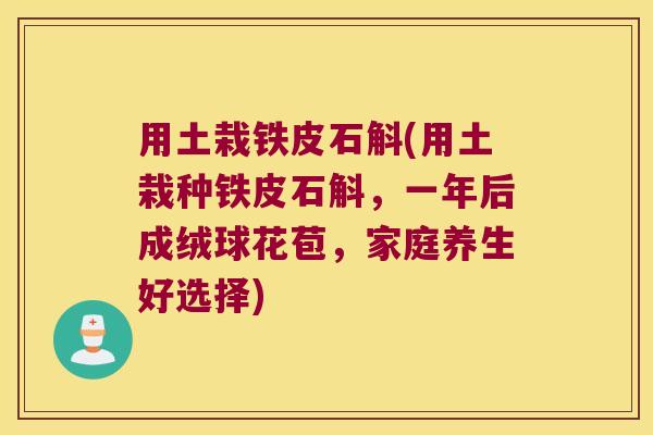 用土栽铁皮石斛(用土栽种铁皮石斛，一年后成绒球花苞，家庭养生好选择)