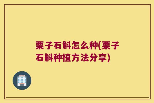 栗子石斛怎么种(栗子石斛种植方法分享)