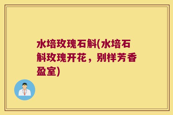 水培玫瑰石斛(水培石斛玫瑰开花，别样芳香盈室)