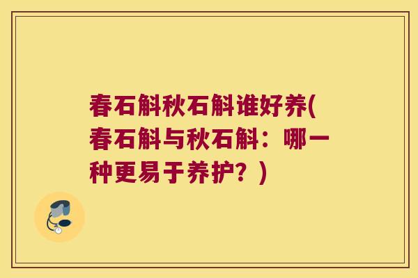 春石斛秋石斛谁好养(春石斛与秋石斛：哪一种更易于养护？)