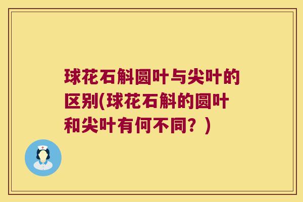 球花石斛圆叶与尖叶的区别(球花石斛的圆叶和尖叶有何不同？)