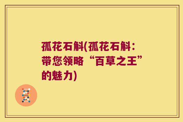 孤花石斛(孤花石斛：带您领略“百草之王”的魅力)