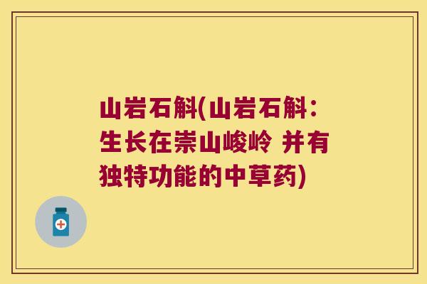 山岩石斛(山岩石斛：生长在崇山峻岭 并有独特功能的中草药)