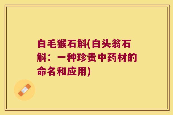 白毛猴石斛(白头翁石斛：一种珍贵材的命名和应用)