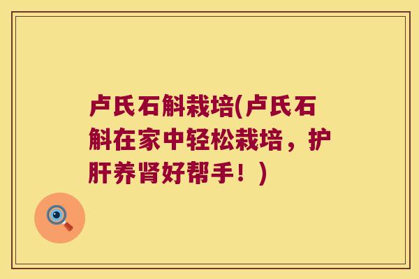 卢氏石斛栽培(卢氏石斛在家中轻松栽培，护肝养肾好帮手！)
