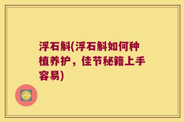 浮石斛(浮石斛如何种植养护，佳节秘籍上手容易)