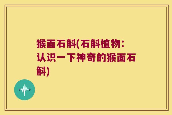 猴面石斛(石斛植物：认识一下神奇的猴面石斛)