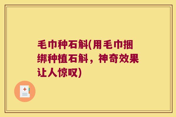 毛巾种石斛(用毛巾捆绑种植石斛，神奇效果让人惊叹)