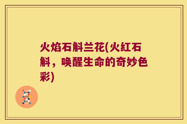 火焰石斛兰花(火红石斛，唤醒生命的奇妙色彩)