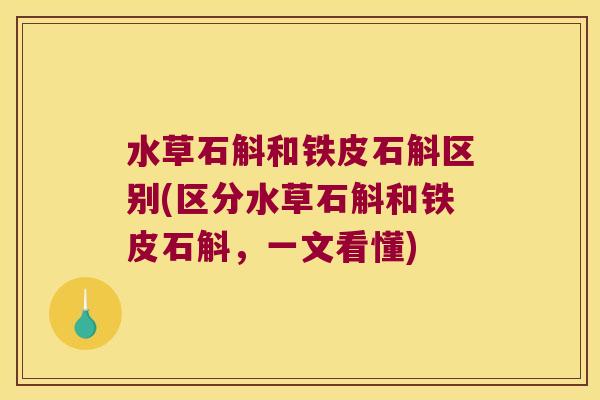 水草石斛和铁皮石斛区别(区分水草石斛和铁皮石斛，一文看懂)