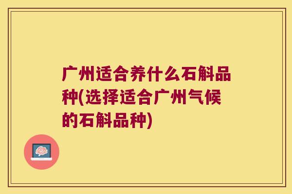 广州适合养什么石斛品种(选择适合广州气候的石斛品种)