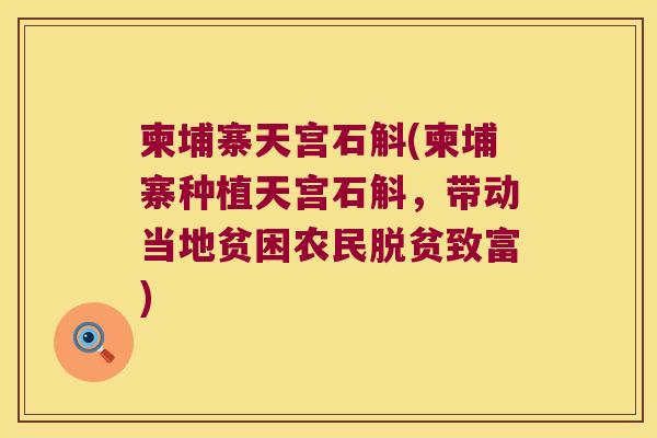 柬埔寨天宫石斛(柬埔寨种植天宫石斛，带动当地贫困农民脱贫致富)
