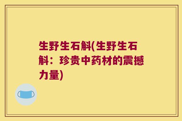 生野生石斛(生野生石斛：珍贵材的震撼力量)
