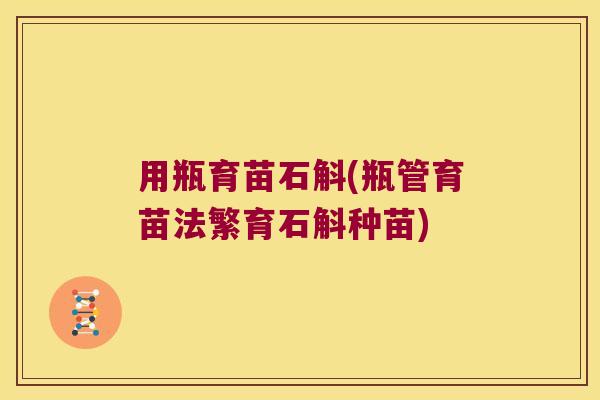 用瓶育苗石斛(瓶管育苗法繁育石斛种苗)