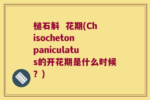 槌石斛  花期(Chisocheton paniculatus的开花期是什么时候？)