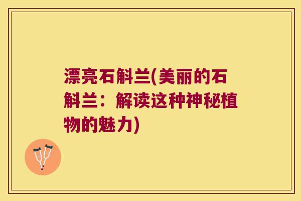 漂亮石斛兰(美丽的石斛兰：解读这种神秘植物的魅力)