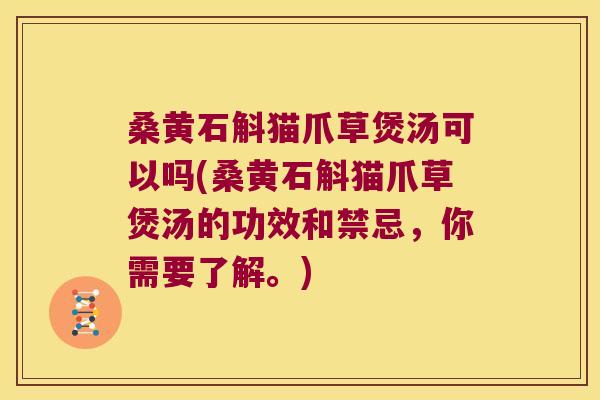 桑黄石斛猫爪草煲汤可以吗(桑黄石斛猫爪草煲汤的功效和禁忌，你需要了解。)
