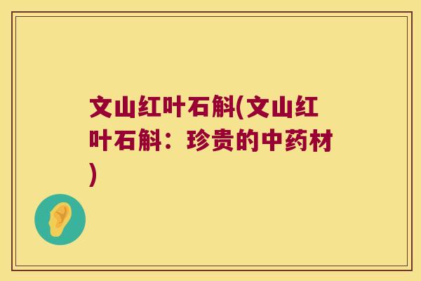 文山红叶石斛(文山红叶石斛：珍贵的中药材)