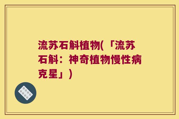 流苏石斛植物(「流苏石斛：神奇植物慢性病克星」)