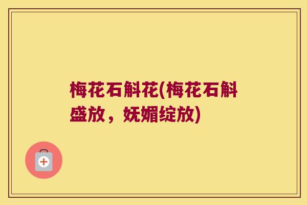 梅花石斛花(梅花石斛盛放，妩媚绽放)