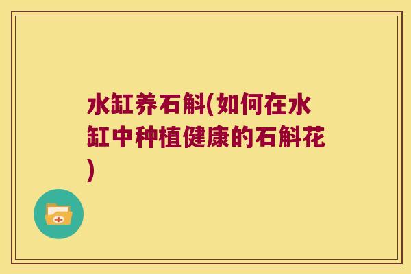 水缸养石斛(如何在水缸中种植健康的石斛花)