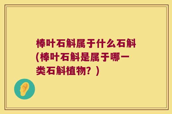 棒叶石斛属于什么石斛(棒叶石斛是属于哪一类石斛植物？)