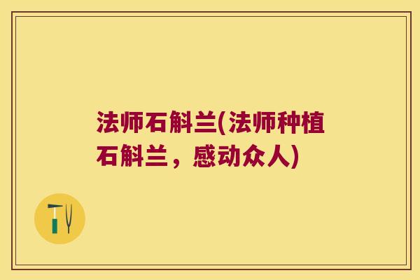 法师石斛兰(法师种植石斛兰，感动众人)