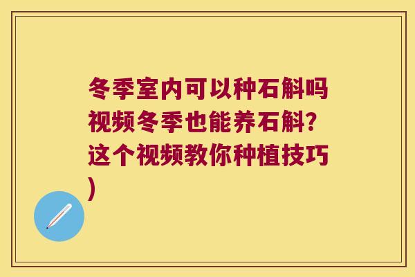 冬季室内可以种石斛吗视频冬季也能养石斛？这个视频教你种植技巧)