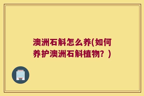 澳洲石斛怎么养(如何养护澳洲石斛植物？)