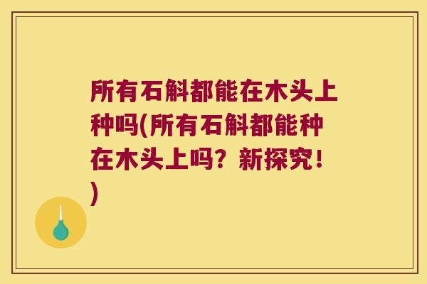所有石斛都能在木头上种吗(所有石斛都能种在木头上吗？新探究！)